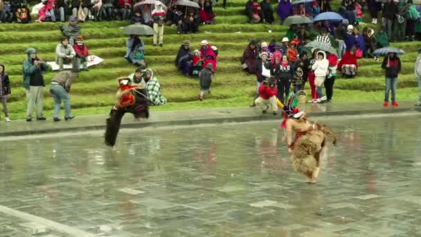 Traditionella dansare på Inti Raymi Festival — Stockvideo