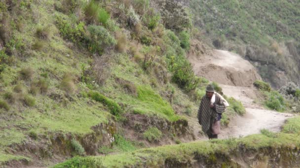 Old Quechua Peasant In Ecuadorian Highlands — Stock Video