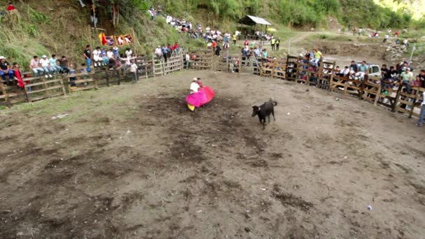 Toros De Pueblo — Vídeo de stock