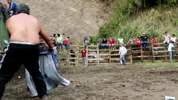 Toros de Pueblo — Stockvideo