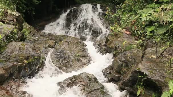 Потік води горах Андах — стокове відео