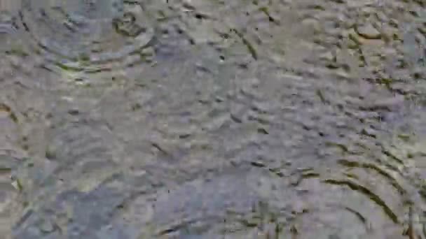 호수에 떨어지는 비 방울 — 비디오