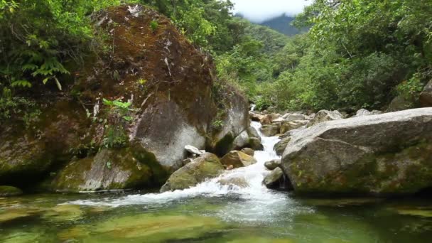 Regenwoud rivier Ruta De Las Cascadas — Stockvideo