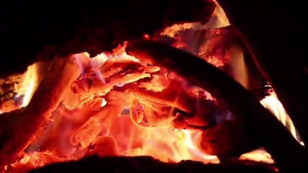 Закрити Діапазон вогню Подробиці — стокове відео