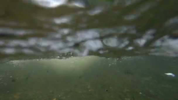 Aquaculture équatorienne — Video