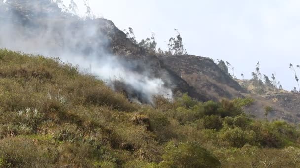 Fuego de gran altitud — Vídeos de Stock