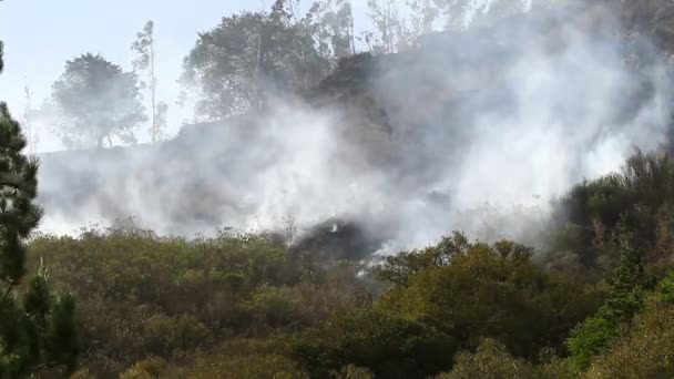 Tierras altas en llamas — Vídeo de stock