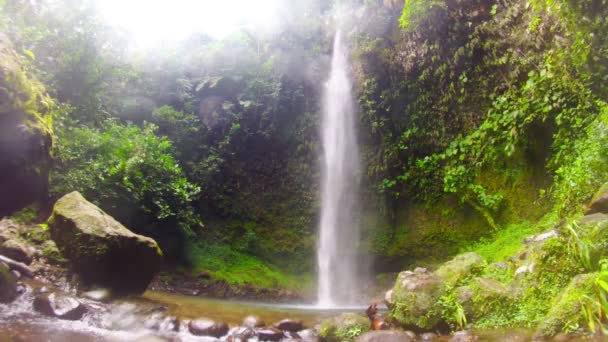 Ola vida wasserfall slide baum — Stockvideo