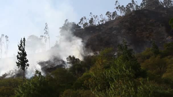 Fuego autoencendido — Vídeo de stock