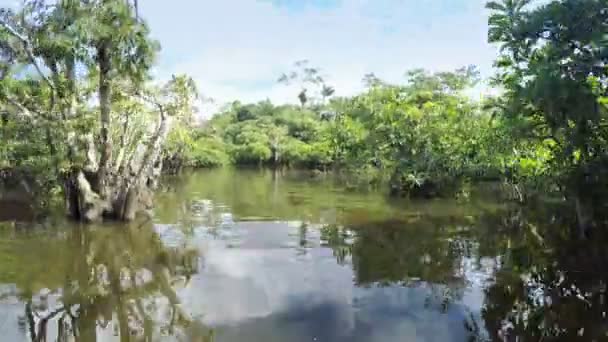 Cuyabeno lagunu národní Park — Stock video