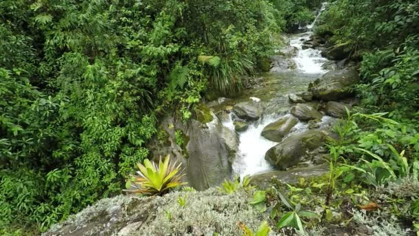Regenwoud rivier Slowmotion — Stockvideo