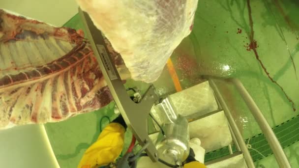 Eerste persoonsmening van een slager met "briskets" aangeduide Opening zaag — Stockvideo