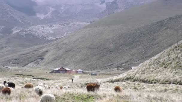 Chimborazo-Vulkan in Südamerika — Stockvideo