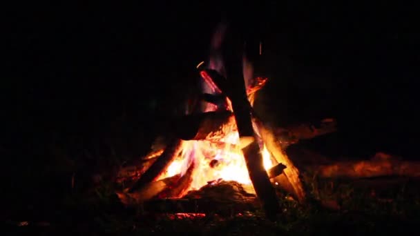 Табірний вогонь вночі — стокове відео