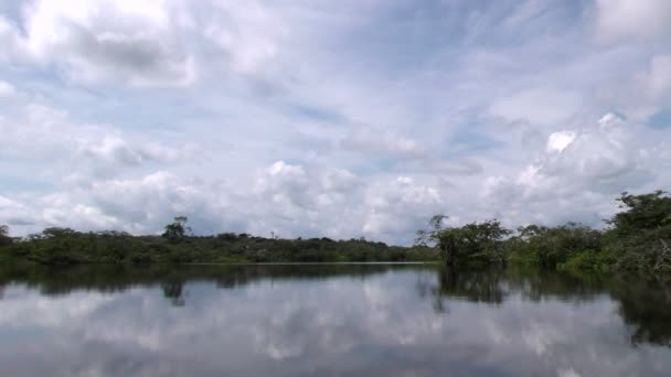 Laguna Grande Cuyabeno Reserva de Vida Selvagem — Vídeo de Stock