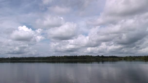 Laguna Grande Cuyabeno Reserva de Vida Selvagem — Vídeo de Stock