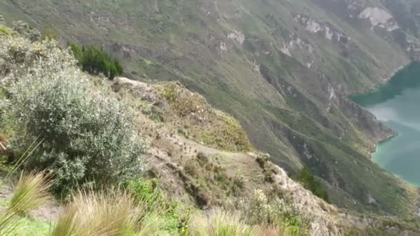 大群山羊在陡峭的地形上 — 图库视频影像