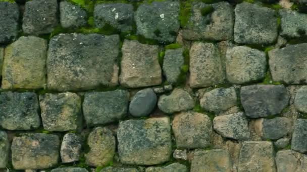 Close Up Of Inca Ruins At Ingapirca Ecuador — Stock Video