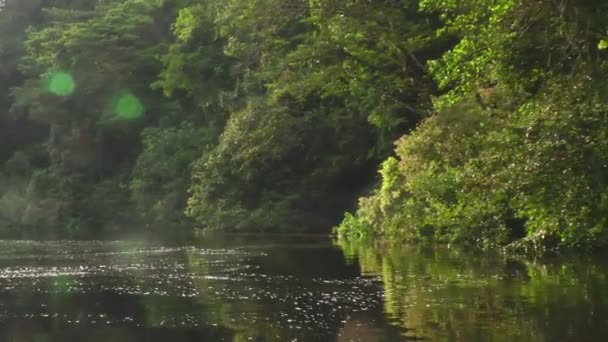 Paseo en canoa en la selva amazónica contra la dura luz del sol — Vídeos de Stock