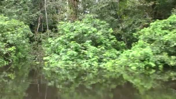 Wciągające wody poziomu strzał w Amazon — Wideo stockowe