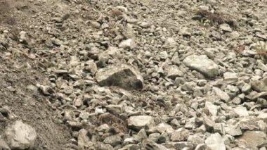 Kamera önünde büyük heyelan üreten deprem