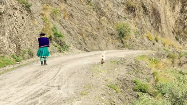 Mujer campesina quechua con perro en campo sin pavimentar carretera — Vídeo de stock