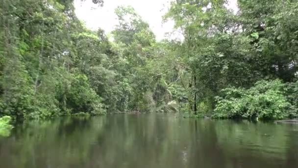 Niveau d'eau immersif abattu en Amazonie 