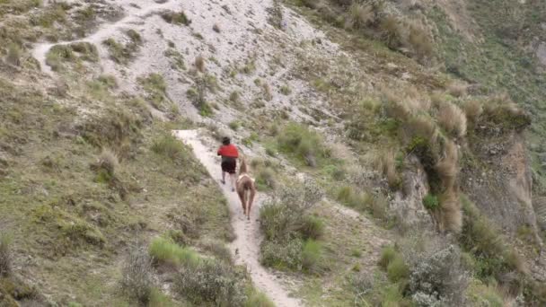 Camponês nos Andes Equatorianos — Vídeo de Stock