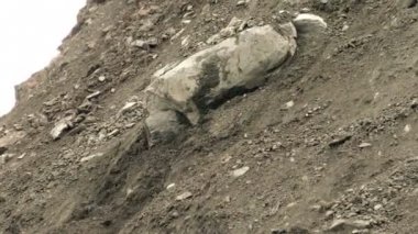 Büyük kayanın önünde buldozer sürgülü arazi