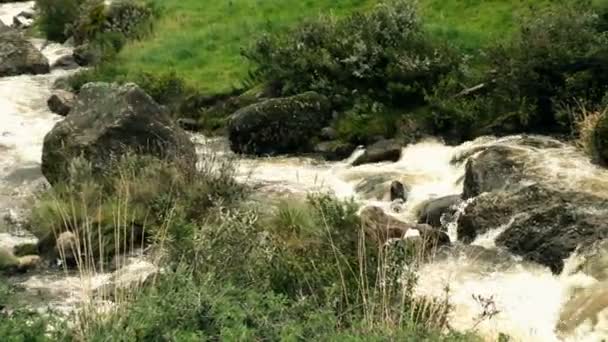Unverschmutzter Fluss in den Bergen — Stockvideo