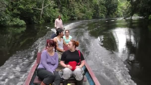 Motoriserad kanot med turister i Amazonas primär djungel — Stockvideo