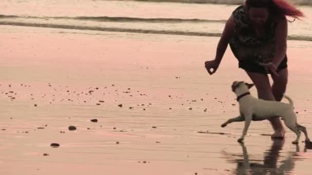 Erwachsene Frau spielt mit dem Hund am Strand — Stockvideo