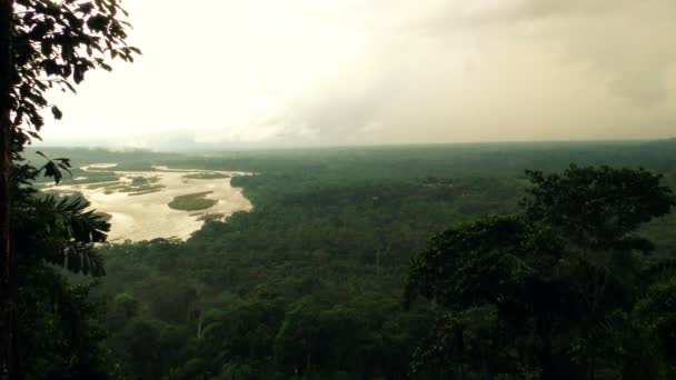 Swing loco sobre la selva tropical — Vídeo de stock