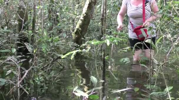 Европейский турист в джунглях Амазонки — стоковое видео