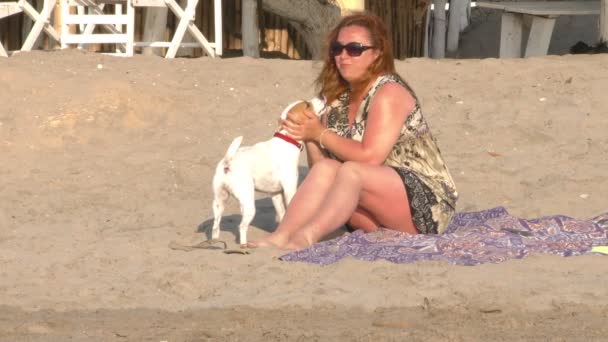 肉付きの良い女性の犬のキス — ストック動画