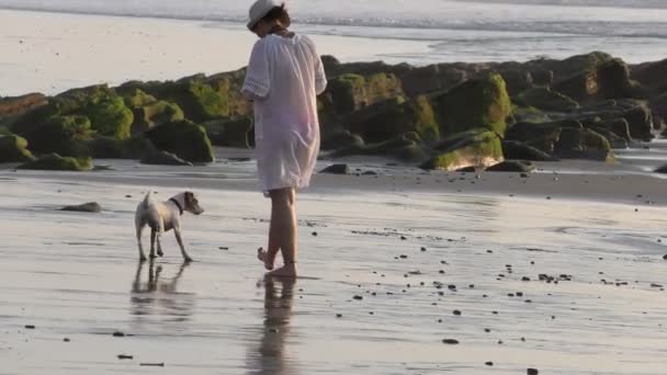 Mulher adulta Snaps uma imagem de seu cão — Vídeo de Stock