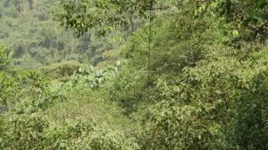 Zip hattı geniş çekim