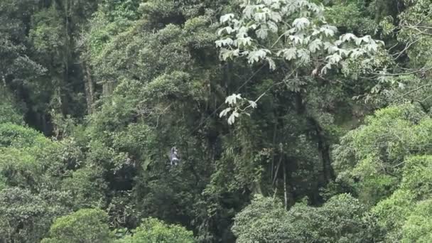 Ligne de fermeture éclair coulissante 