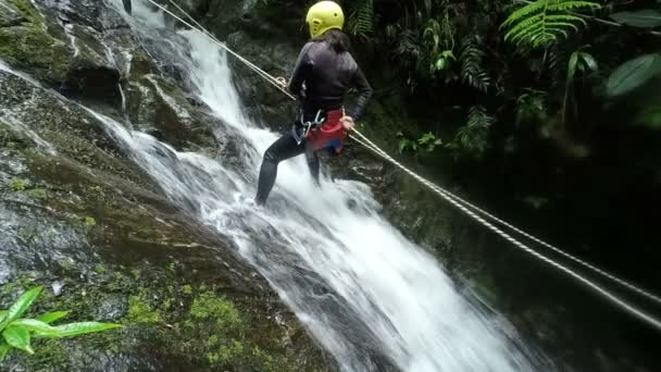 Asiatisches Mädchen seilt sich im ecuadorianischen Regenwald von einem Wasserfall ab — Stockvideo