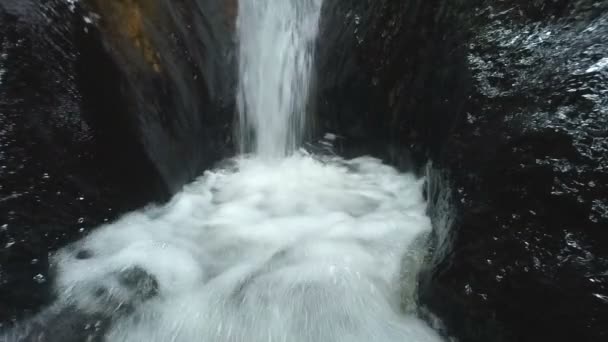 Mujeres turísticas felices deslizándose en la cascada — Vídeos de Stock