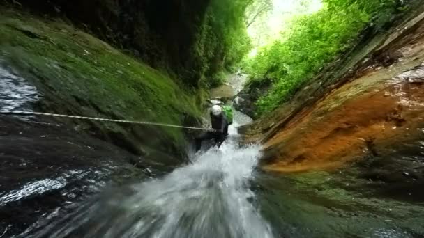 Водопад Раппеллинг эквадорского тропического леса — стоковое видео