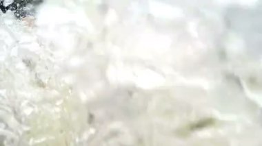 Beyaz Su Raftingleri