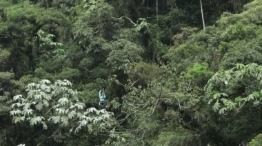 Tatil etkinliği yağmur ormanlarında
