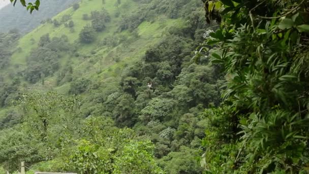 Treetop Zip Line — Video Stock