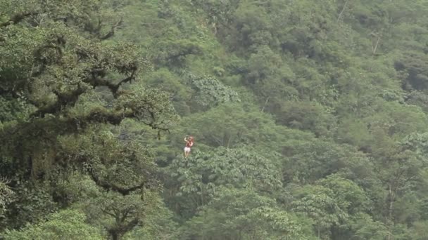 Zip Line Aventura — Vídeo de stock