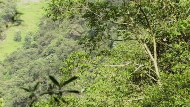 Mujeres jóvenes Zip Line — Vídeos de Stock