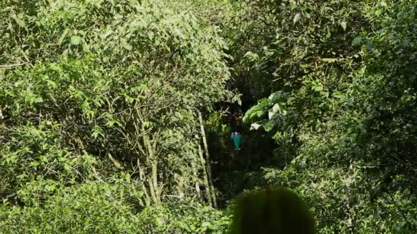 Zip Line erfarenhet — Stockvideo