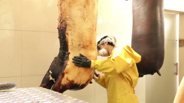Обрізання свині вручну після обрізання — стокове відео