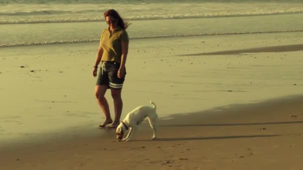 Strandwandeling bij zonsondergang — Stockvideo