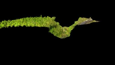 Yüksek İrtifa Ormanının 3D Dijital Model Sunumu Gerçek Yaşam Taraması Drone hava görüntüsü kullanarak